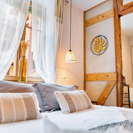 Apartamento Au Petit Lion, Colmar Centre Garage Gratuit Exterior foto