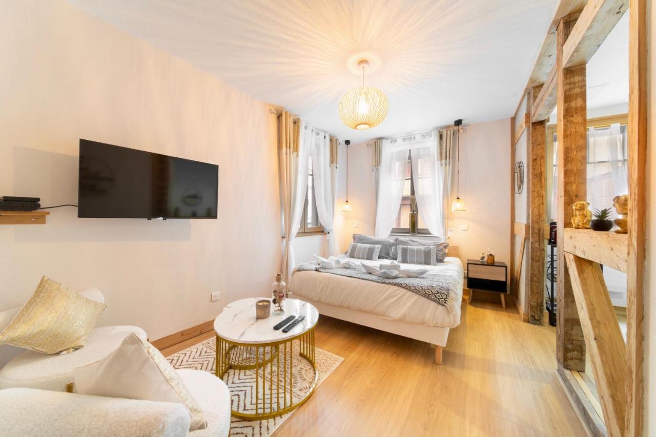 Apartamento Au Petit Lion, Colmar Centre Garage Gratuit Exterior foto