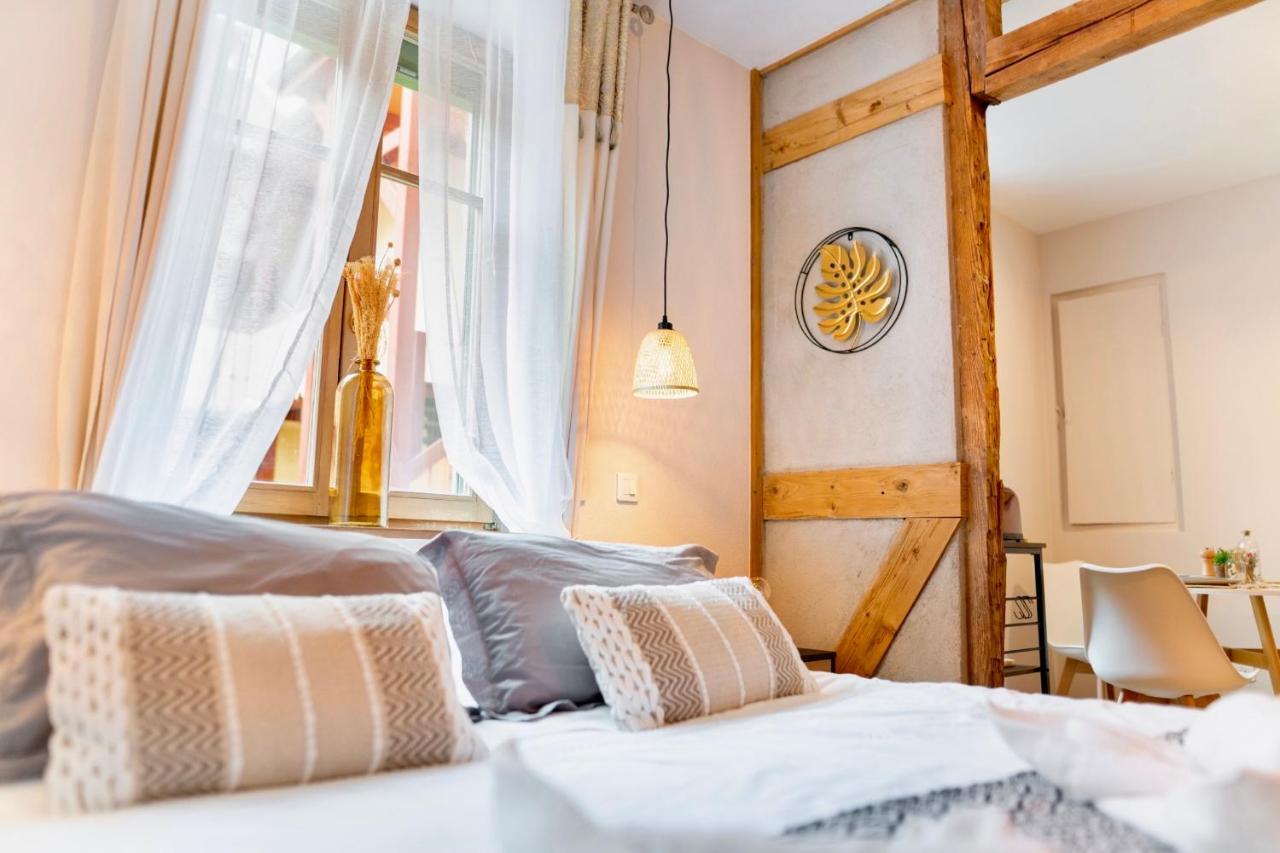 Apartamento Au Petit Lion, Colmar Centre Garage Gratuit Exterior foto