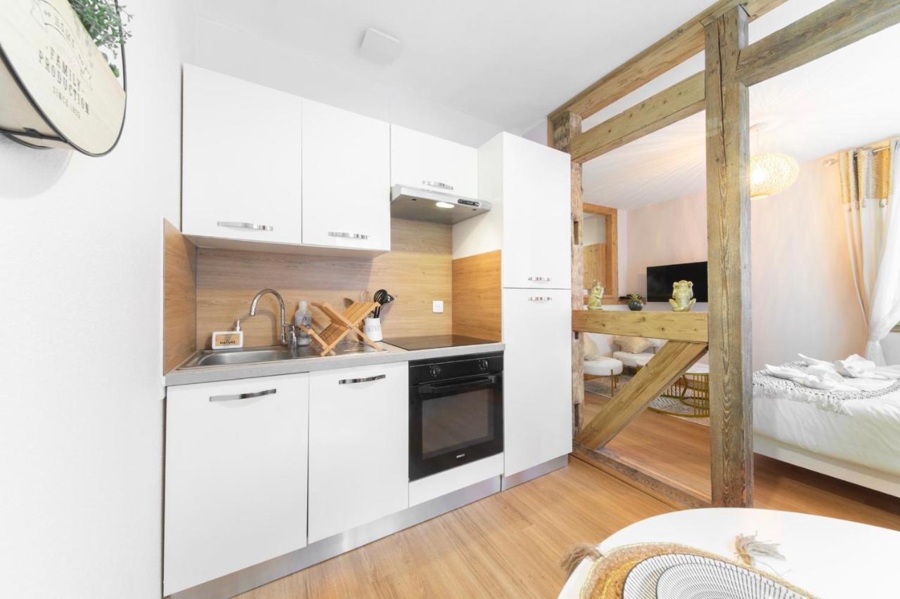 Apartamento Au Petit Lion, Colmar Centre Garage Gratuit Exterior foto